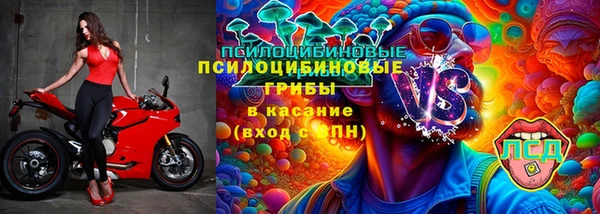 ПСИЛОЦИБИНОВЫЕ ГРИБЫ Балабаново